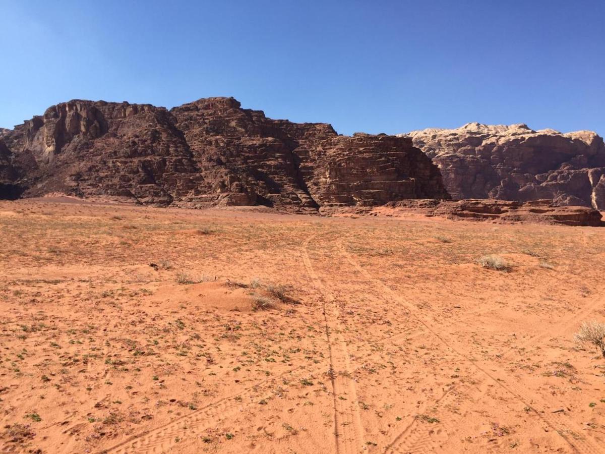 Wadi Rum Bedouin Experience Exterior photo