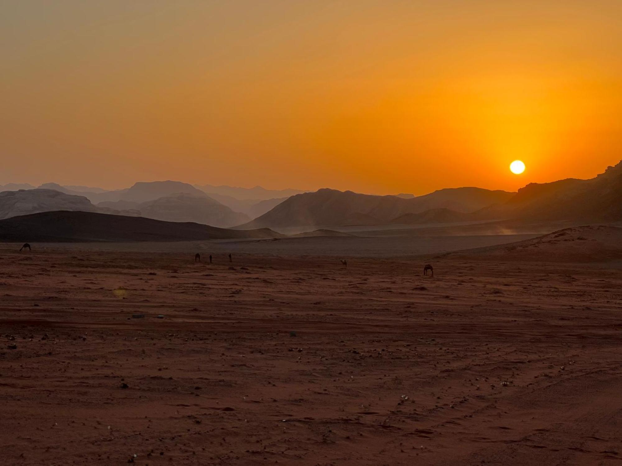 Wadi Rum Bedouin Experience Exterior photo