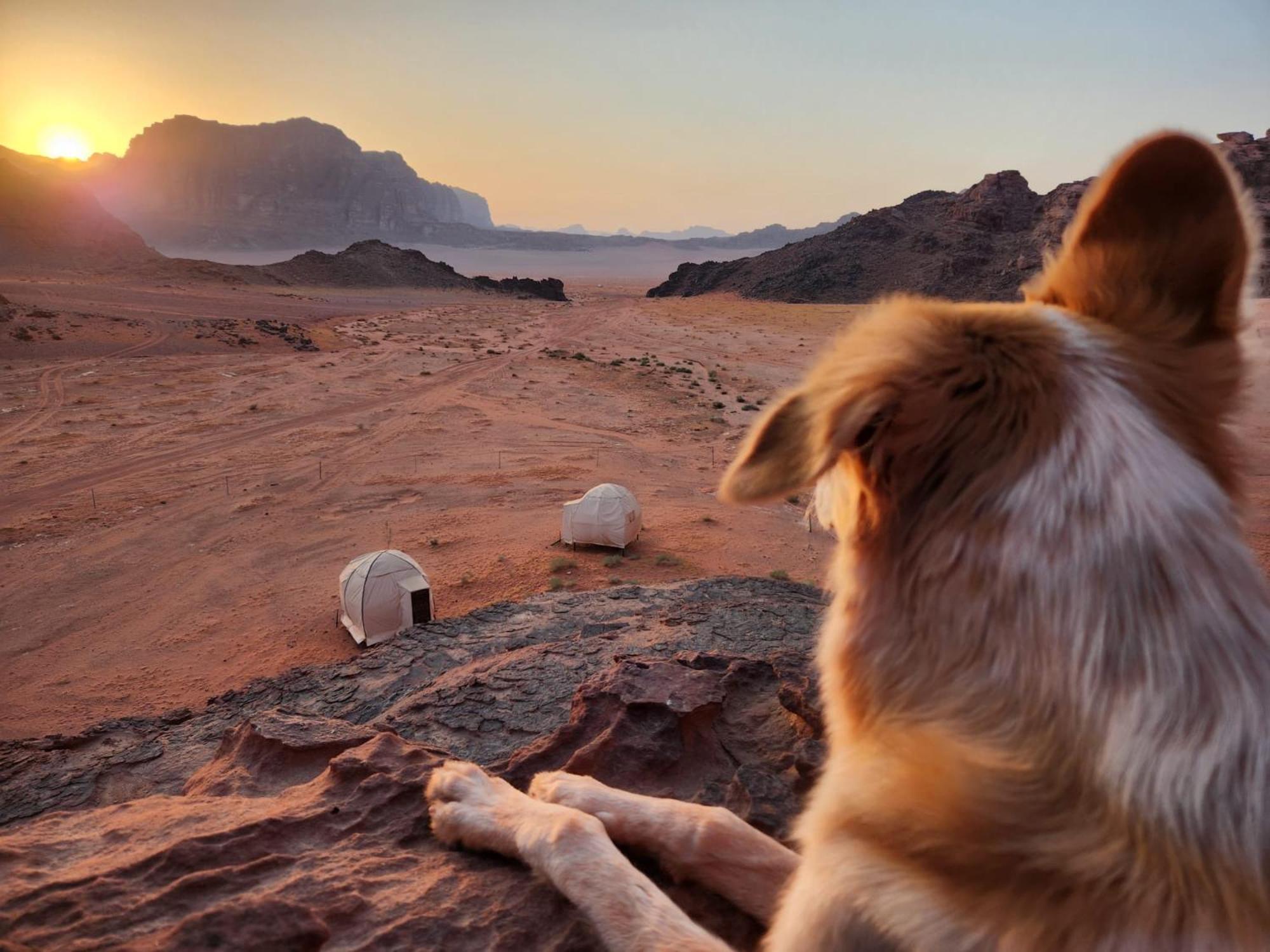Wadi Rum Bedouin Experience Exterior photo