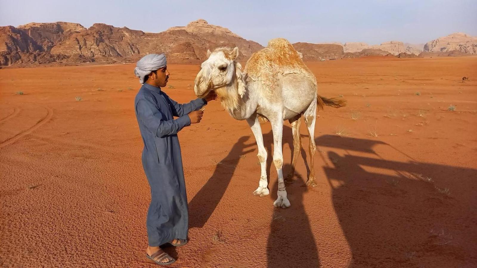 Wadi Rum Bedouin Experience Exterior photo